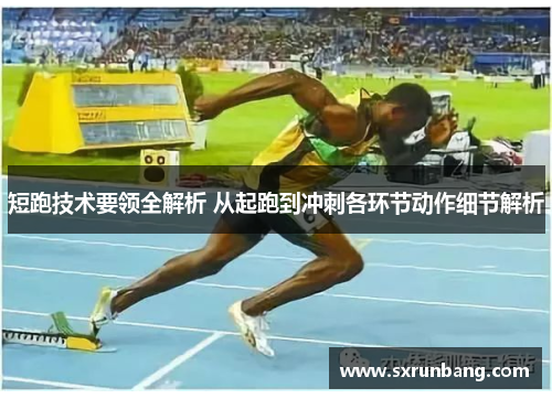 短跑技术要领全解析 从起跑到冲刺各环节动作细节解析