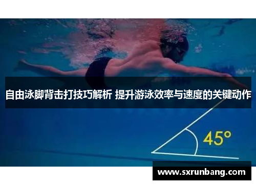 自由泳脚背击打技巧解析 提升游泳效率与速度的关键动作