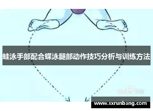 蛙泳手部配合蝶泳腿部动作技巧分析与训练方法